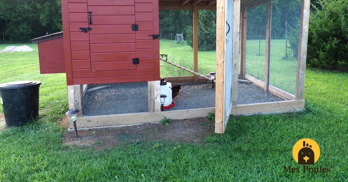 Combien de poules dans un poulailler ? La juste surface, zone par zone